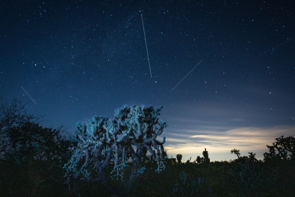 Navigating Night Skies